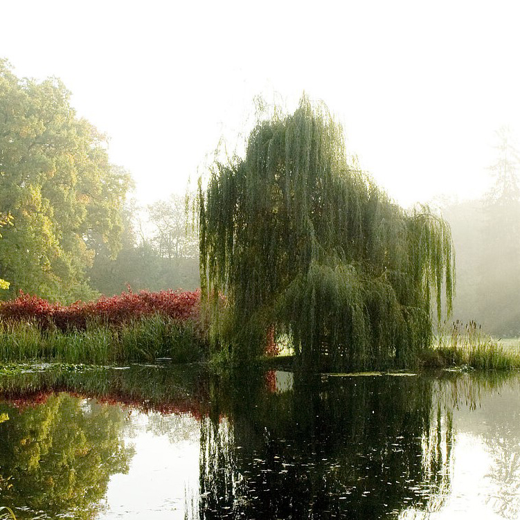Teamleitung für die Gartenpflege gesucht